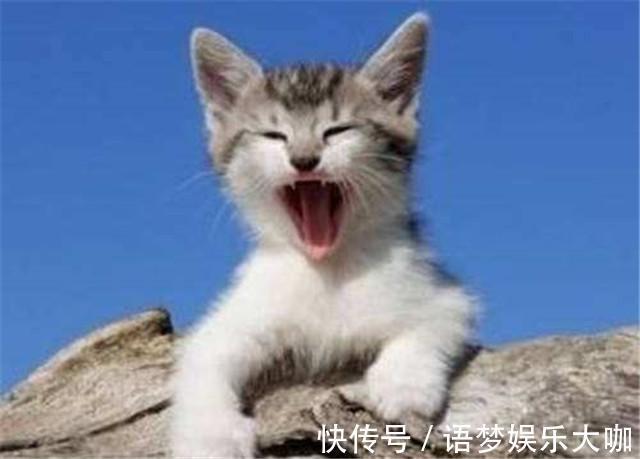 中国传统文化#一个花和尚志明的打油诗:读不懂觉得是屁,读懂了却是人生