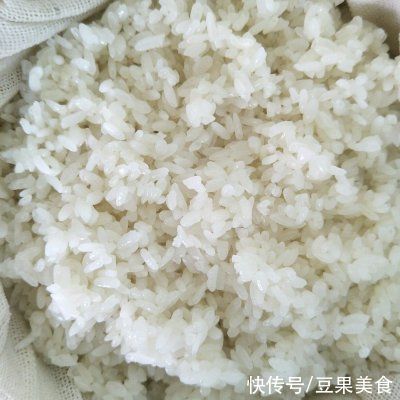 酸奶机|餐厅必点的米酒~醪糟~，在家也能做