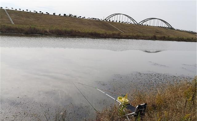 深秋钓鲫鱼,4钓4不钓,只要方法得当,半斤以上大板鲫连竿上