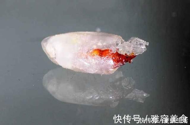 成虫|米放久了会有虫子,那这些虫子都是哪里来的呢?
