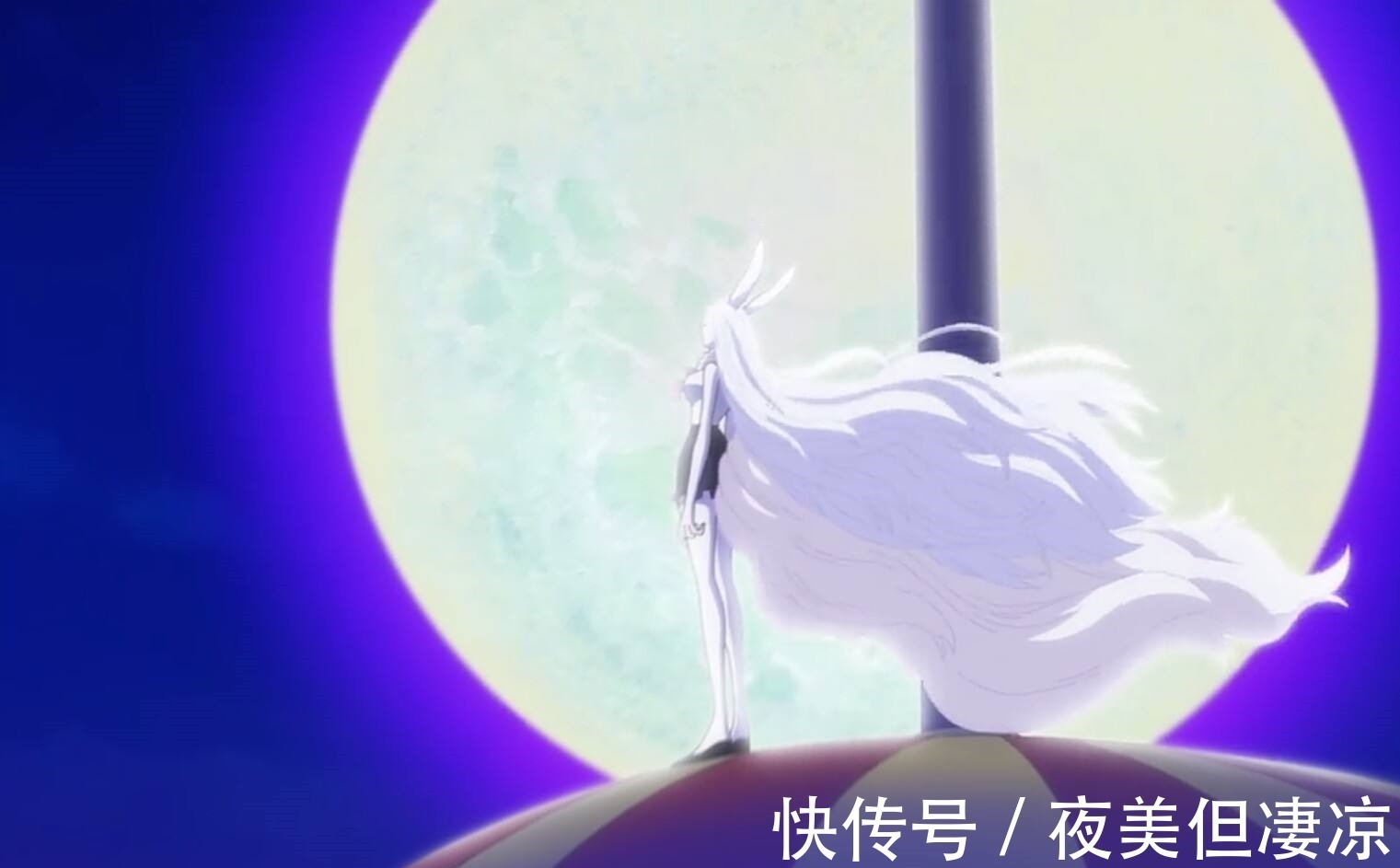 草帽一伙|《海贼王》路飞的第十个伙伴!海迷意料之外,情理之中!