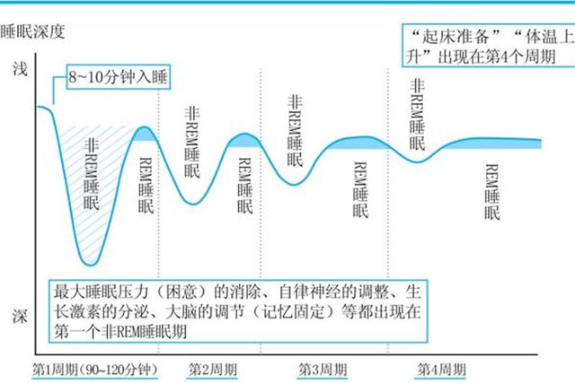 身体不适|2个月睡整觉、4个月怎么突然夜醒频繁？别慌乱，说不定是“好事”