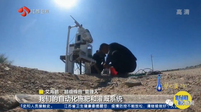 3000亩棉田，两个人自己种自己管！他们能做到吗？