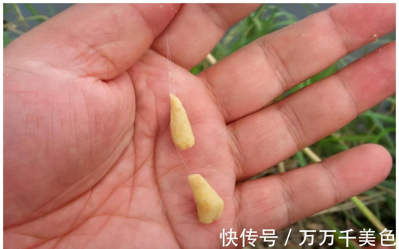 能掌握这6个基本规律,就走出了新手圈,渔获翻倍都有可能