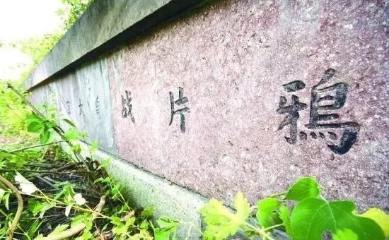 大清|鲜为人知的大清藏族远征军