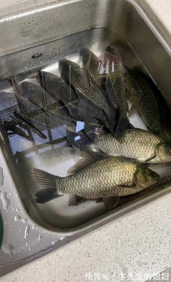 冬天野钓的别急着封竿,给你支几招,钓不到鱼捶我