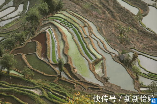 历险记|元阳梯田老虎嘴塌方事故后，想走崎岖小路才能到，一次难忘历险记