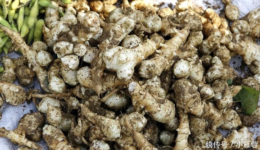 糖尿病的“大救星”找到了, 每天吃一点, 让血糖稳如磐石