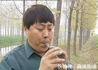 為走紅不惜身份作假冒充草根多年，韓紅一怒之下將其轟下臺(tái)