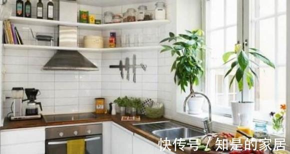 拜访|去邻居家拜访，打开厨房门就被迷住，布置得真棒，整洁美观还不贵