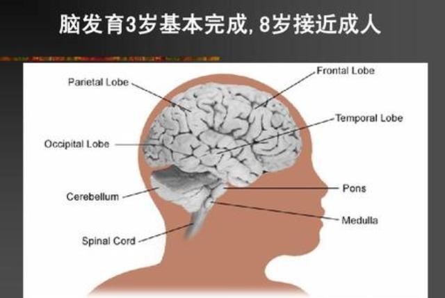 斯坦福教授:家里这3个地方越乱,孩子长大越聪明,家长别瞎勤快