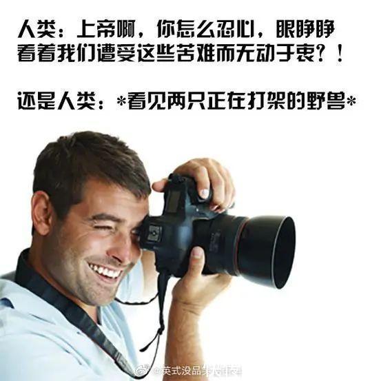 |男朋友敷衍起来是什么样 冷段子1464 & 去年今日1155