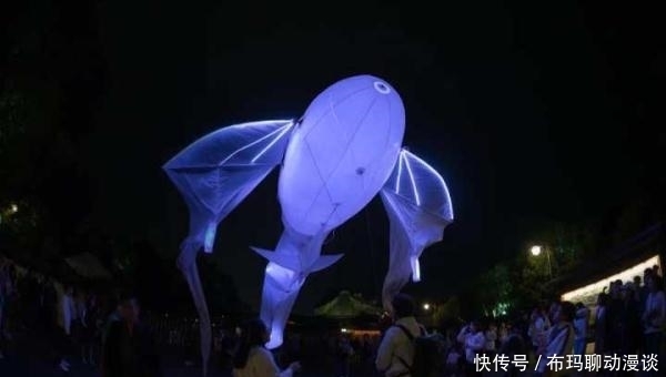 参赛者|官宣！第八届乌镇戏剧节今年10月重磅回归