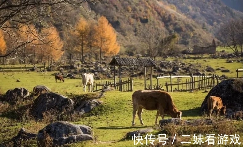 秘境|秦岭山野深处，误入雷阿诺的油画秘境