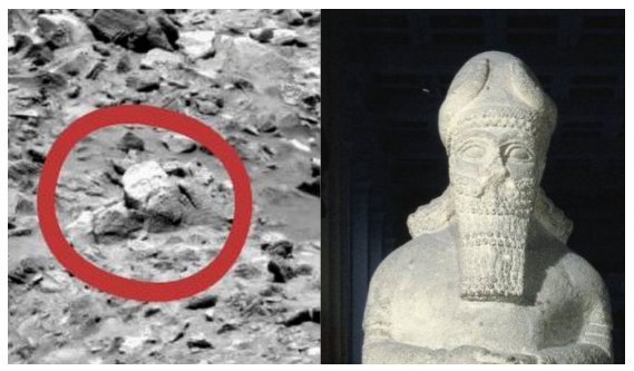 真相 火星上有蘑菇生长？“真像”中的“真相”