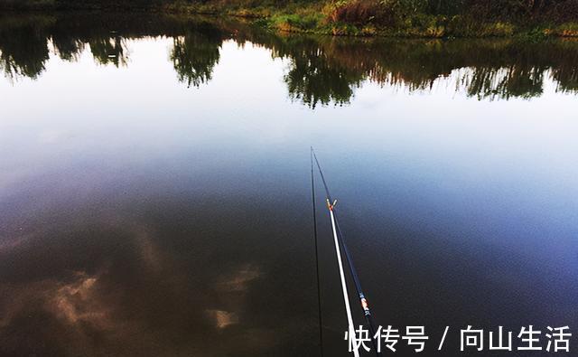 钓具越用越好,鱼却越钓越难,是钓友人傻钱多,还是鱼儿嘴刁?