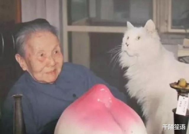 太太的客厅$林徽因暗讽,张爱玲鄙视,鲁迅看不惯冰心为什么成“万人嫌”