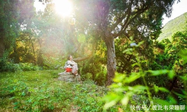 绿色出游，在尼山圣境健康“森”呼吸吧！