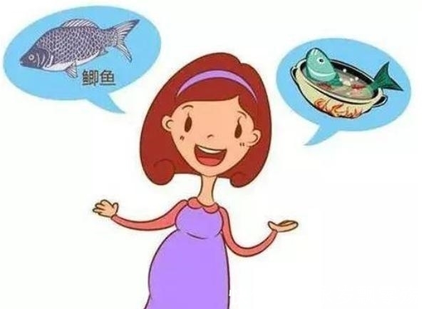 含有|常吃鱼对身体是好是坏?提醒:这3种鱼尽量少吃,不妨看看