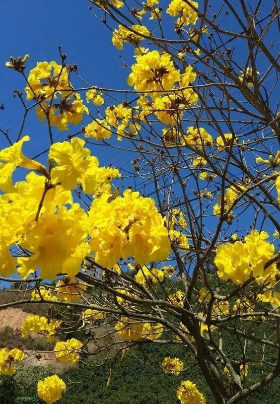 2021秋冬最流行的色彩搭配