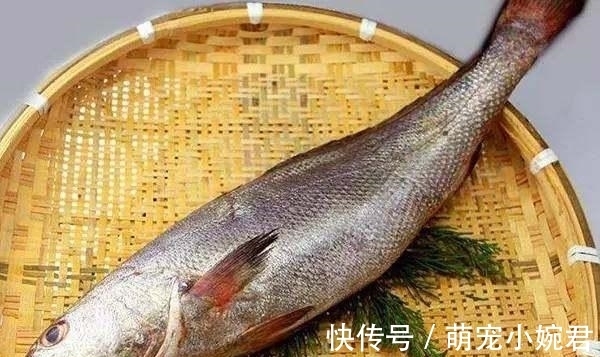 闽南最好的六种海鱼，午笋排第一，只要用豆豉，便能炣出美味