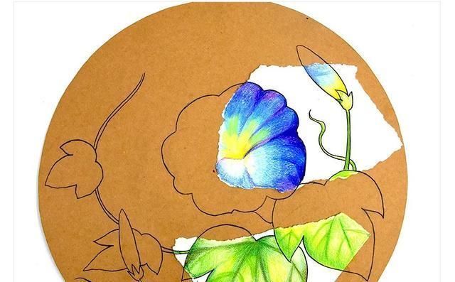  儿童画|儿童画教程一张纸上的两种表现方式--美丽的牵牛花