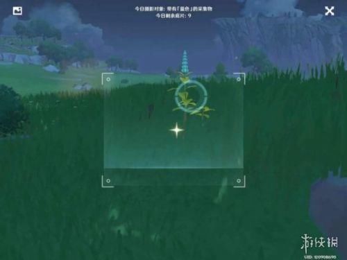 蒲公英 原神蓝色照片在哪里拍？蓝色照片采集物生物分布位置一览