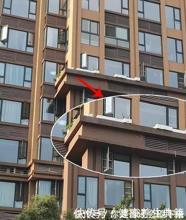 养花|高层腰线拿来养花邻居理直气壮出了公摊，我家的为啥不能用！