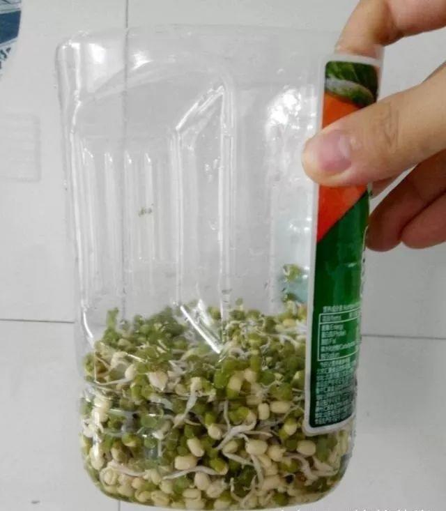 1个塑料瓶,居然有8种养花方法,省钱又好用!