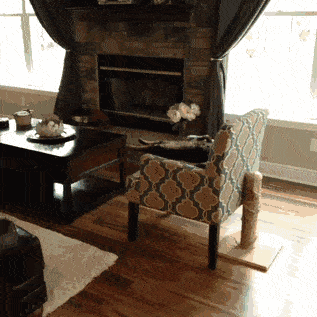 |搞笑GIF段子:那个大哥你给我出来,我保证不打死你