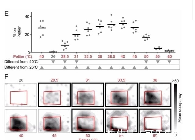 宝宝|被蚊子“选中”的宝宝,是因为甜度高吗?蚊子的口味其实是这样的