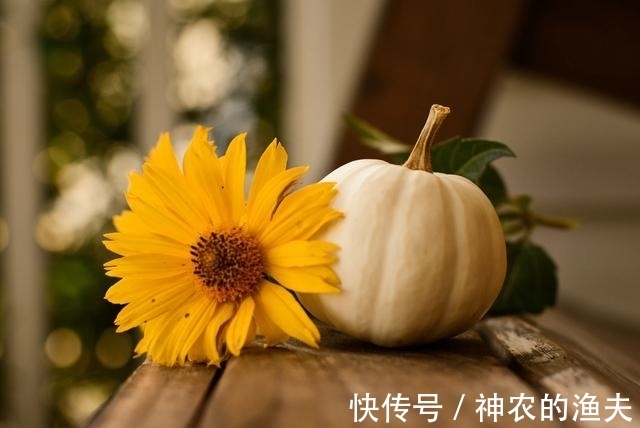 3星座|7月中旬，花有重开日，缘有相聚时，3星座痴迷旧情人，情归深处