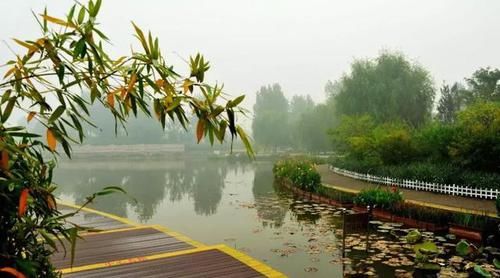 秋钓雨中和雨后的技巧 抓住了保你连杆不停 快资讯