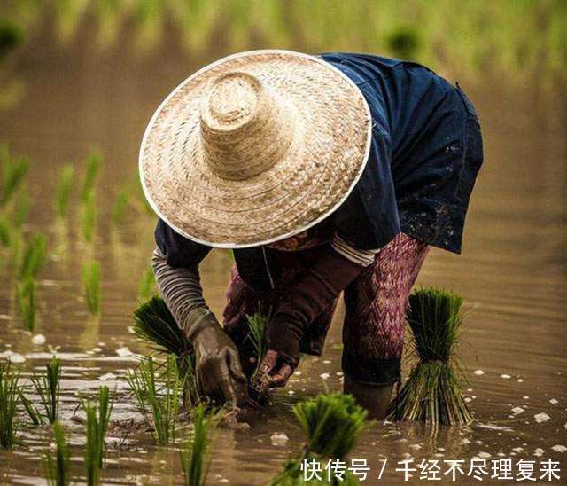  农业|温铁军：中国不能实行农村土地私有化，农业问题不能单拎出来考虑