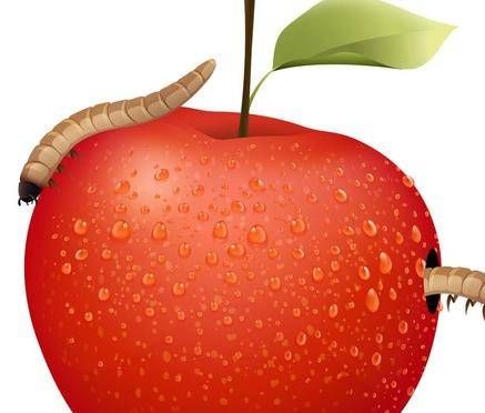 解放$一只小虫子的解放 （诗歌）