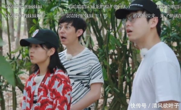 向往的生活|汪苏泷不小心打到张子枫，谁注意彭昱畅的第一反应比言情小说还甜