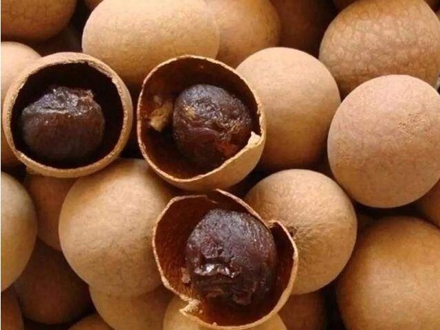 红薯|桂圆是个宝，还被誉为是“第一补脑灵丹”，会吃的人补气还养血