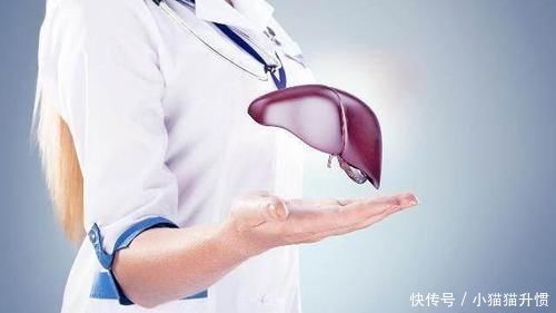 天生一对|黄芪和它天生一对,一起泡水喝,排毒降火,肝会对你感激涕零