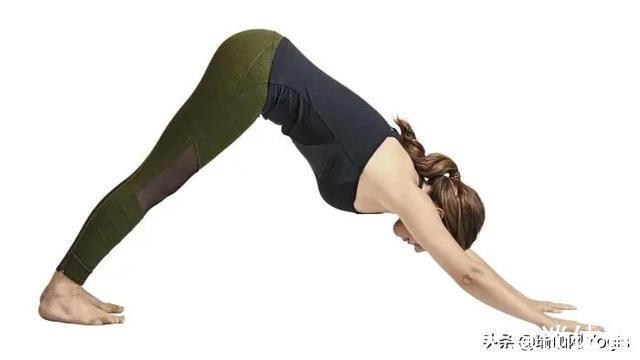 下犬式|打开胸腔好处多!这组瑜伽体式有效打开胸腔,身姿更加挺拔