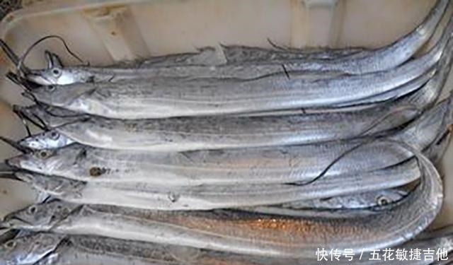 同一条鱼,凭什么价格差5倍,老渔夫告诉你,买到好带鱼的窍门