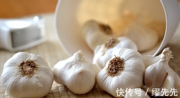 养花生虫,试试这4样“家庭好物”,保你轻松驱虫杀虫