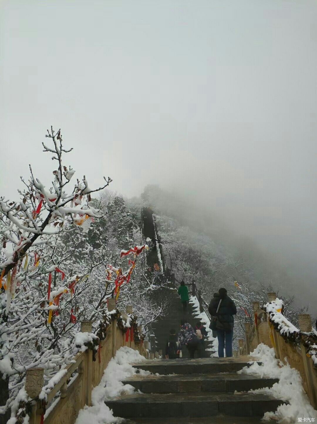 冬天的精灵————雪