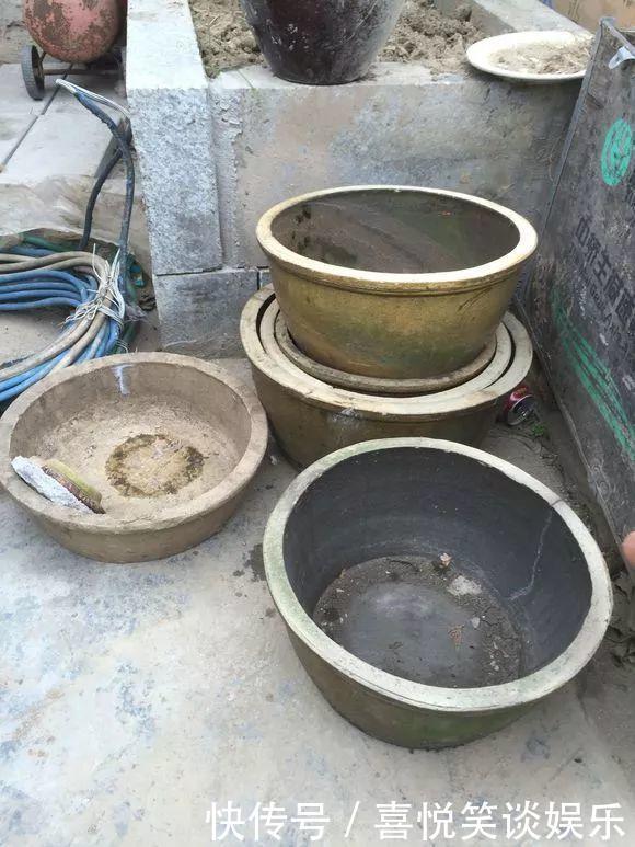 几十个高价花盆,被扔在垃圾桶旁,捡还是不捡?