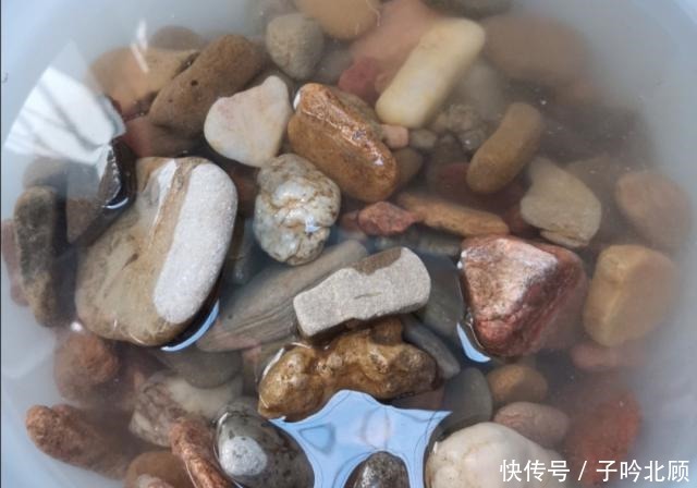 石子|花盆不用买,河边捡堆小石头,做成漂亮的小花盆,养花好有韵味!