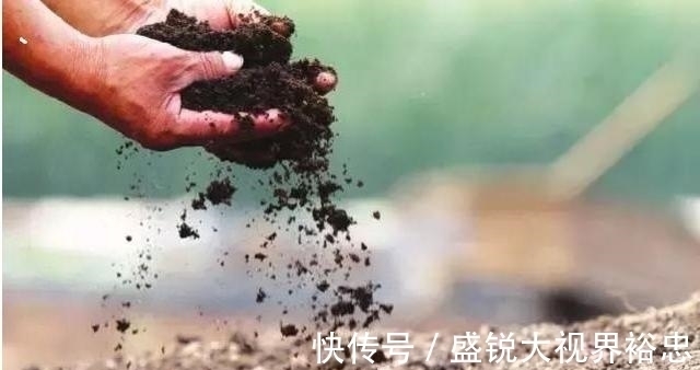 钓鱼时遇到这个“脏东西”,别错过,用来打窝很不错