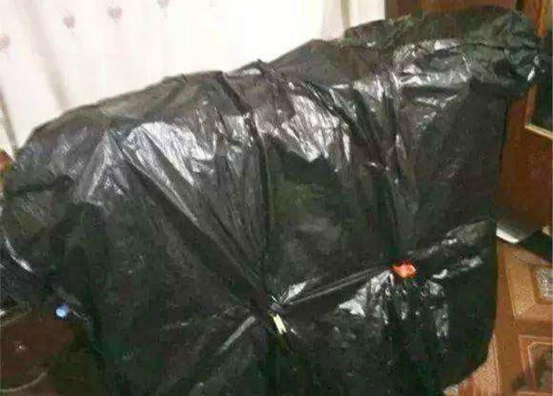 3种花就得虐,不虐不开花,一虐花满枝