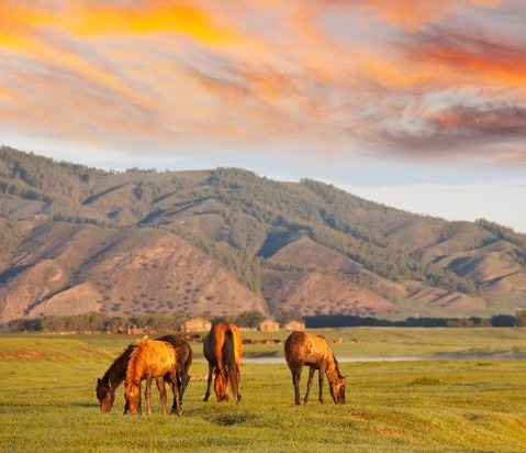 该国曾属于中国,如今快被沙漠吞噬, 但