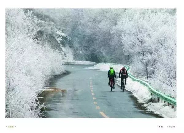  区税务局驻|大雪节气，想和你一起去看雪！一起，慢慢白了头~