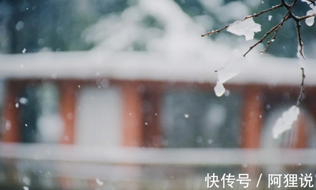 千山鳥$柳宗元最孤獨(dú)的一首詩(shī),人至中年,我終于看懂了!