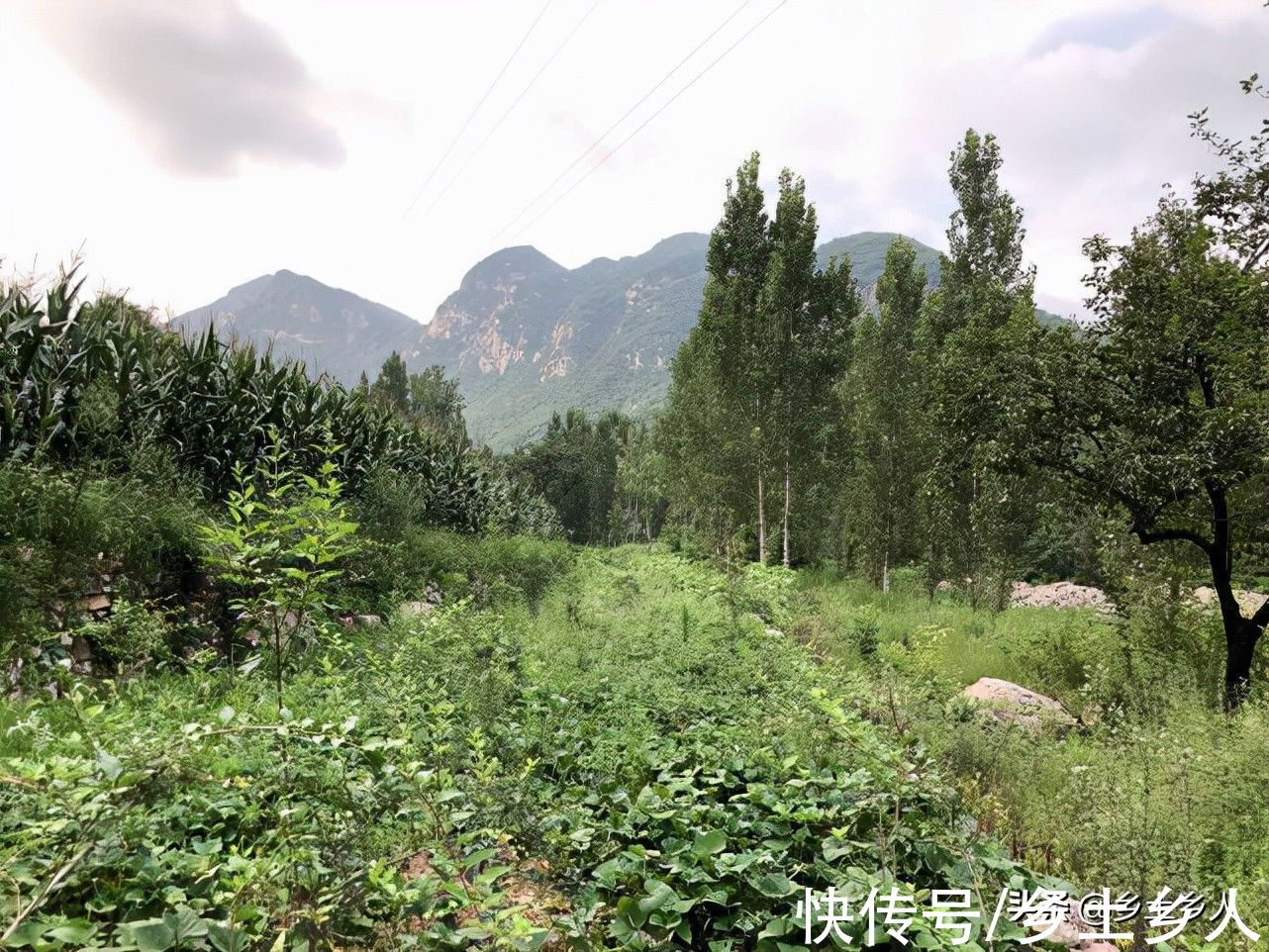 安康|秋分将至,老话说:“秋分一碗汤,四季好安康”,指的是什么汤?